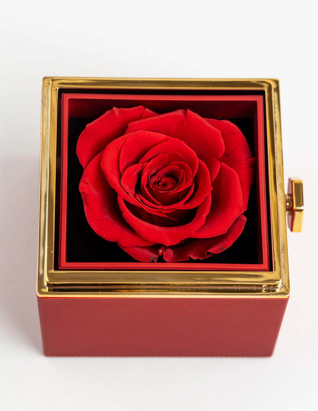 Colar Personalizável Eu te Amo Com Rosa Eterna